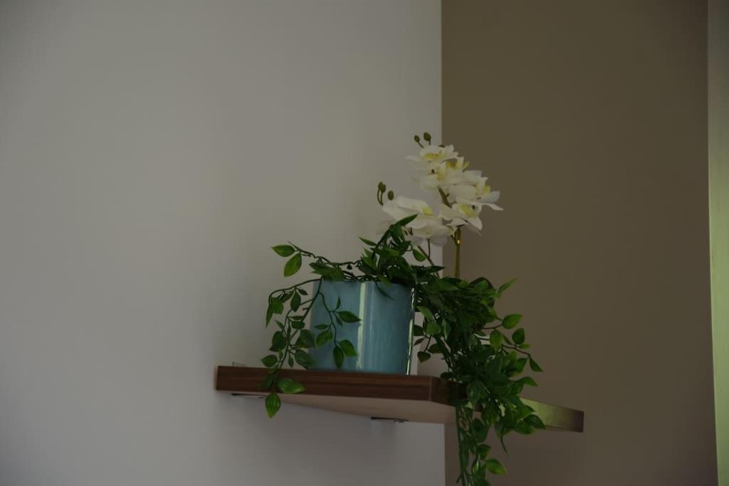 Elegant T2 A Bron, Tramway A 2Min, Box Parking, 4Personnes Apartment Bagian luar foto
